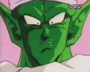 piccolo2.jpg