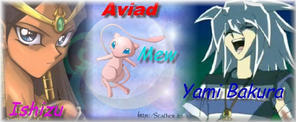 aviadbanner.jpg